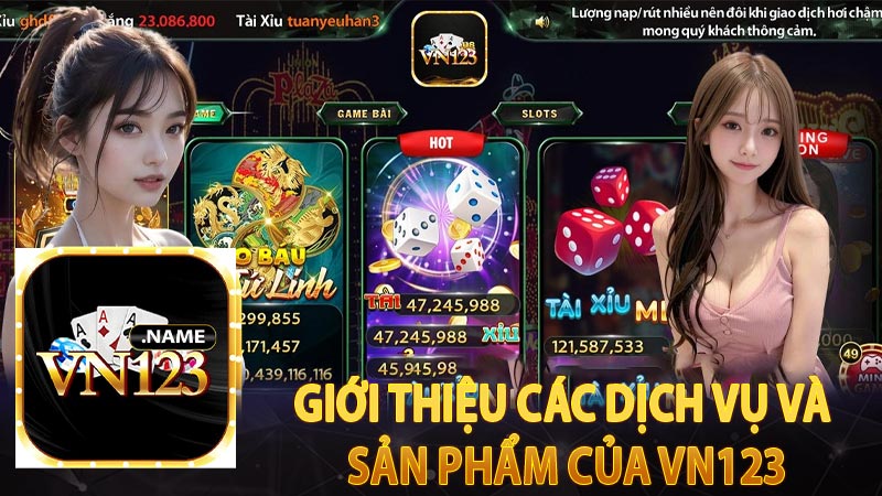 Giới thiệu các dịch vụ và sản phẩm của VN123